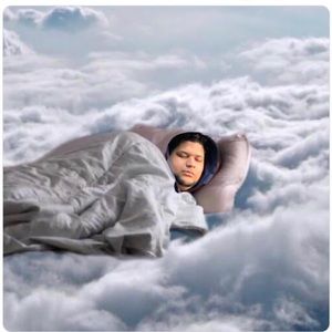 Meet your Posher, Luis